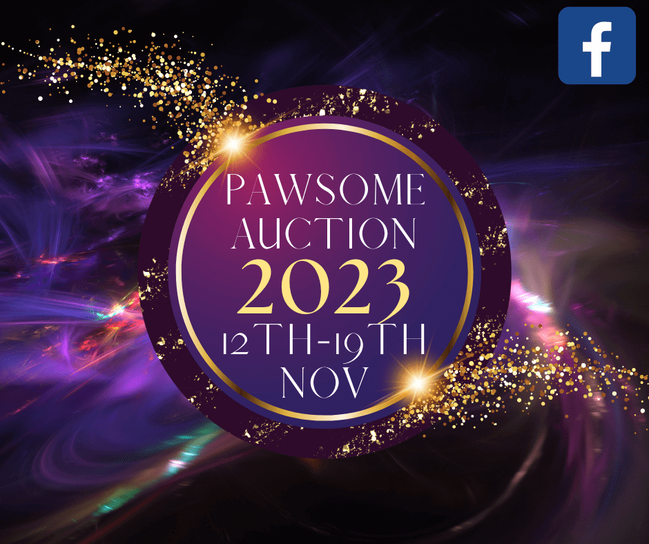 Pawsome Auction 2023 (2)