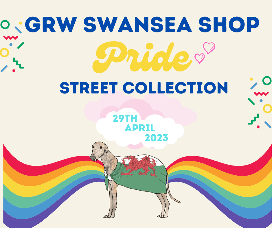 Swansea Pride Collection (1)