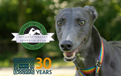 Guest Blog: Burns Pet Nutrition at GRW