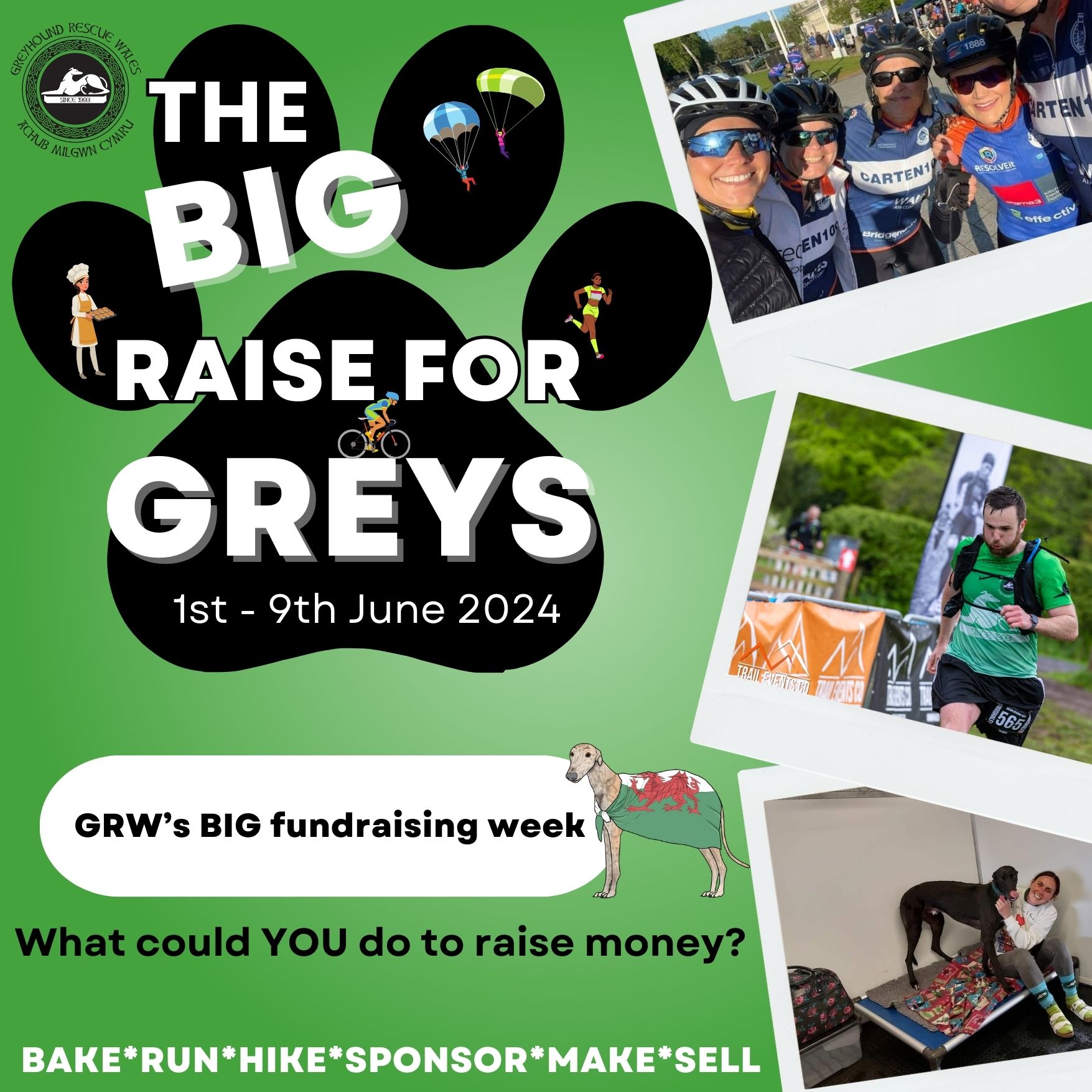 The BiG raise for greys
