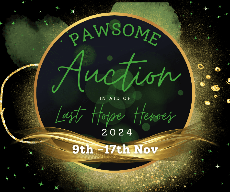 Pawsome Auction 2024 (2)
