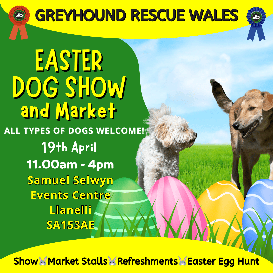 Greyhound Rescue Wales Easter Dog show
