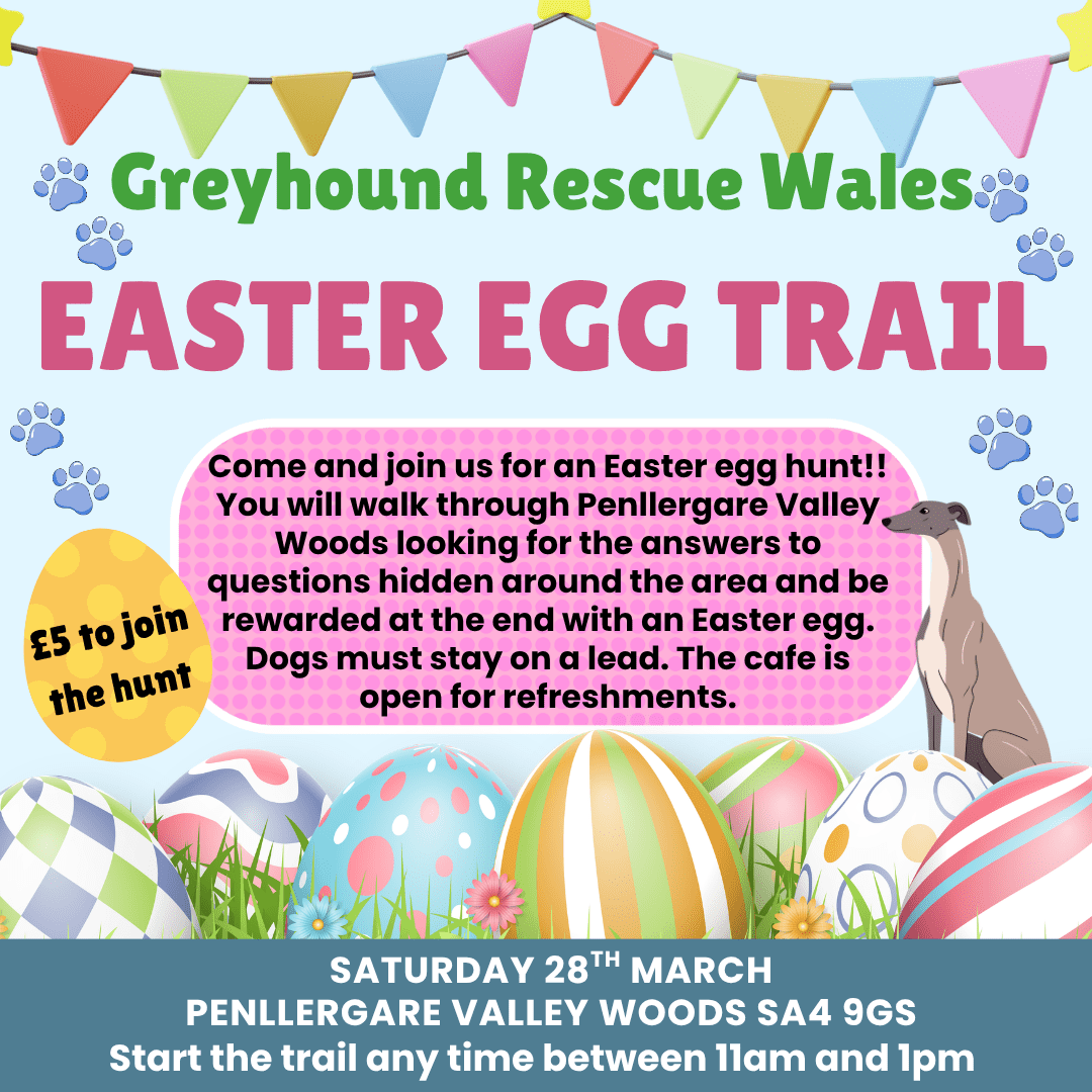 Greyhound Rescue Wales (1)