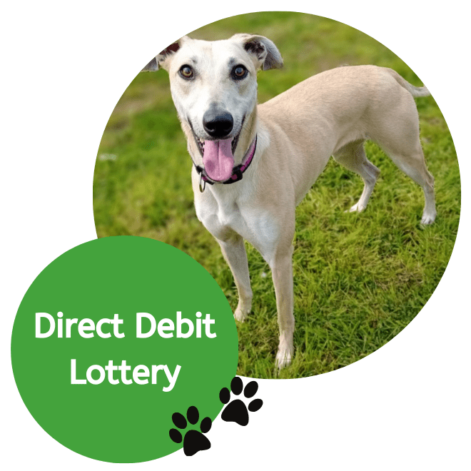 Direct Debit Lottery